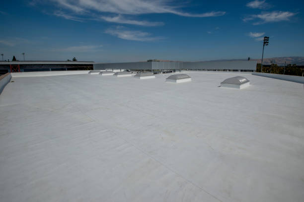 Best EPDM Roofing  in Springfield, GA