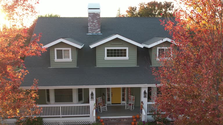 Best Gutter Installation and Repair  in Springfield, GA