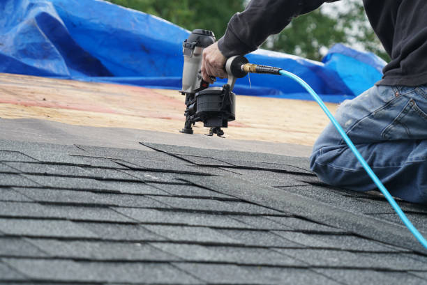 Best Roof Coating and Sealing  in Springfield, GA
